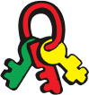 coloured keys icon